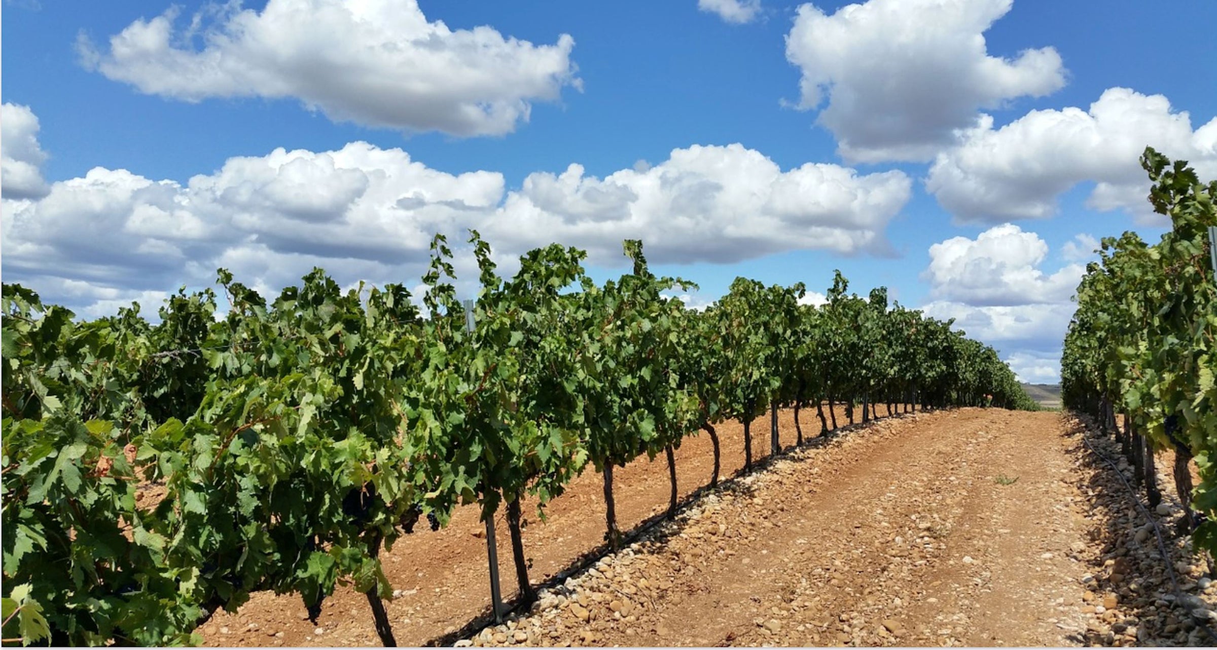 La Rioja