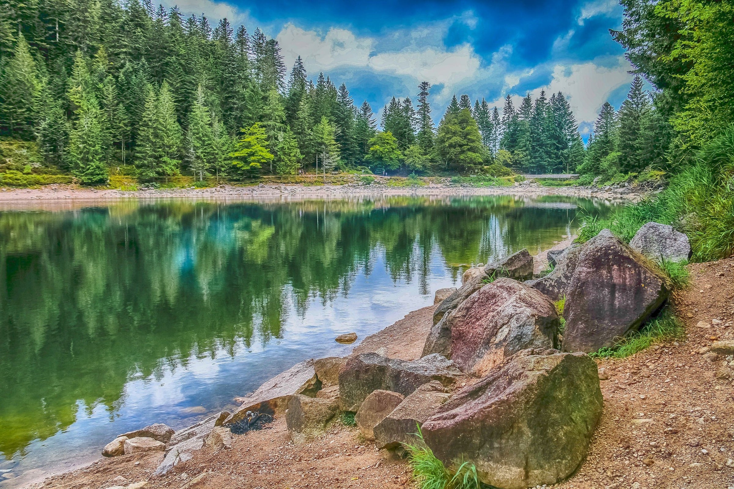 Vosges (département 88)
