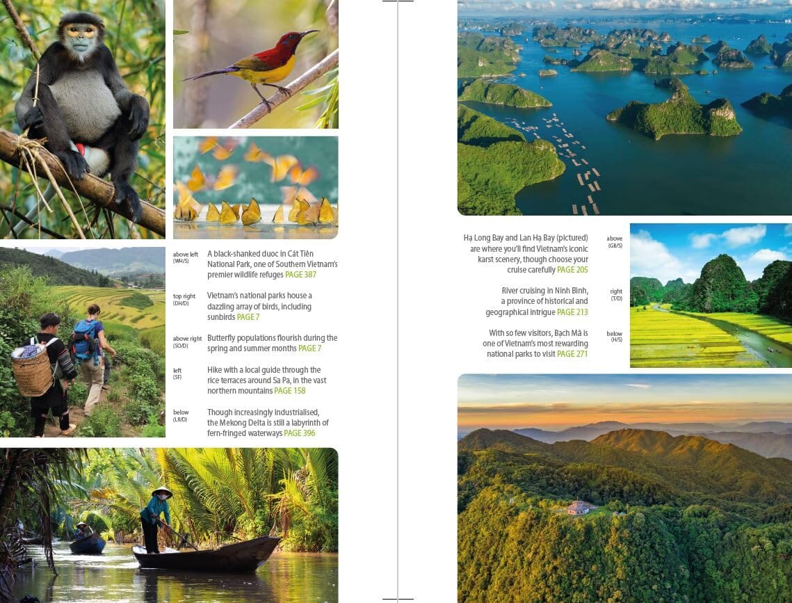Guide de voyage (en anglais) - Vietnam - Édition 2025 | Bradt guide de voyage Bradt