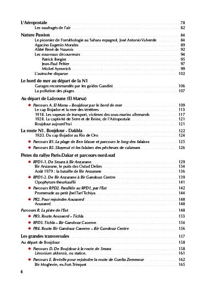 Guide Gandini - Pistes du sud du Maroc : Le Sahara Atlantique - Tome 6 guide de voyage Extrem'Sud - Guides Gandini