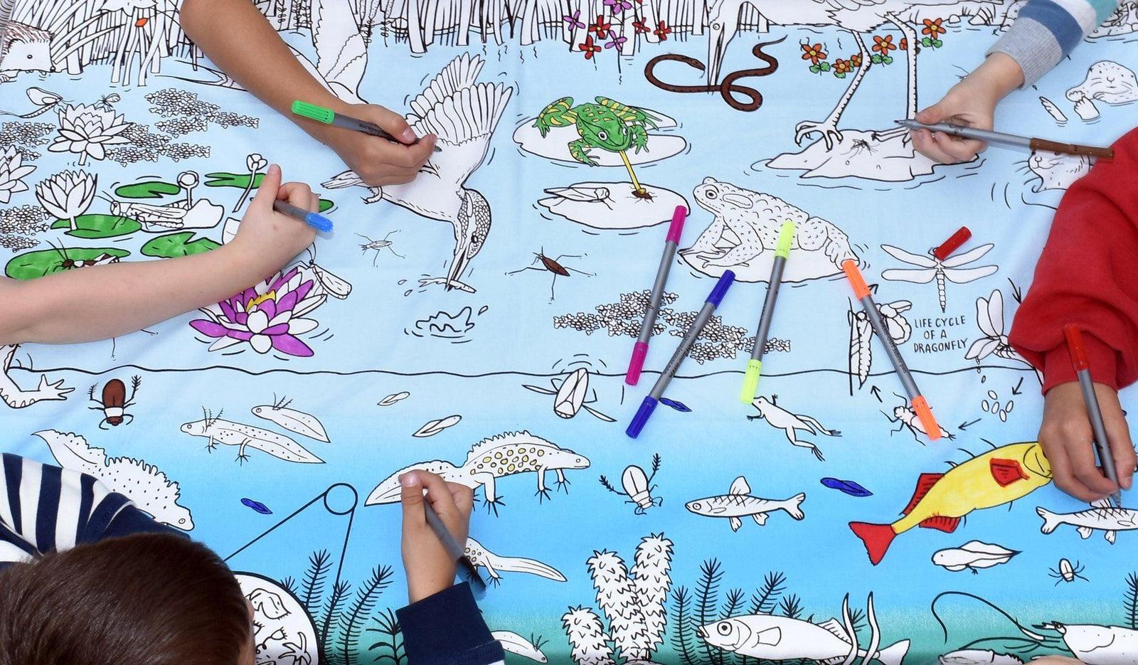 Nappe à colorier - Motif "Vie de l'étang" | Eat Sleep Doodle jeu Eat Sleep Doodle