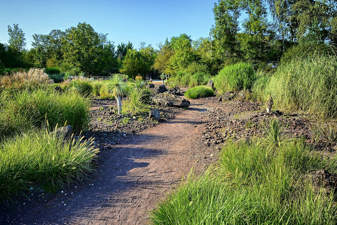 Ain (département 01)