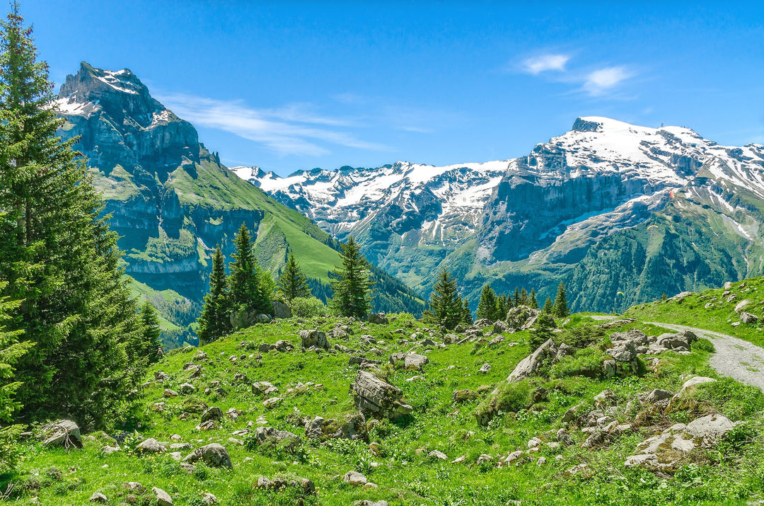 Alpes françaises