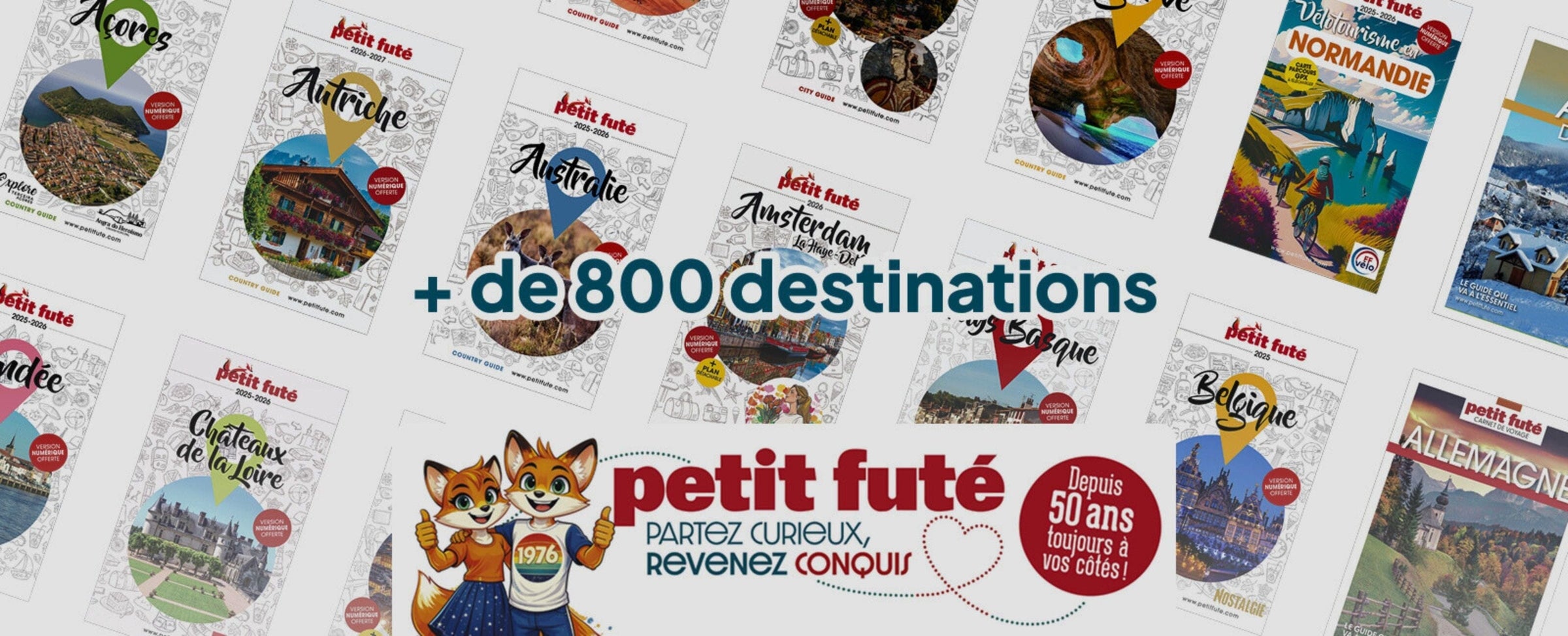Guides Petit Futé