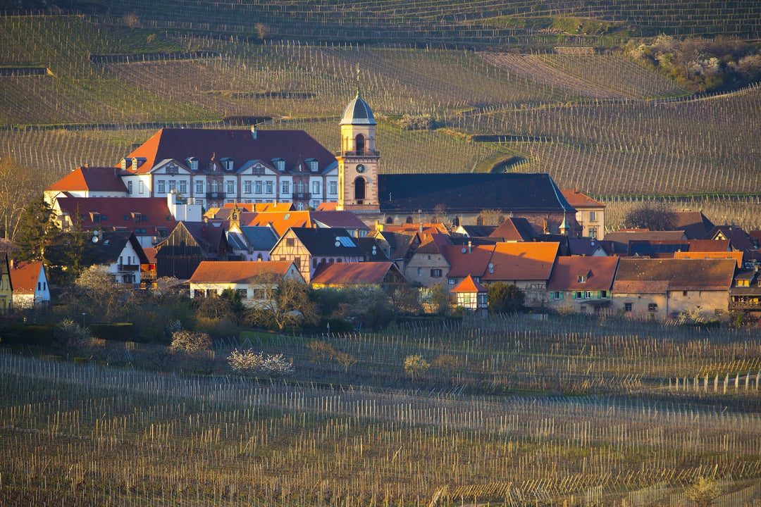 Haut-Rhin (département 68)