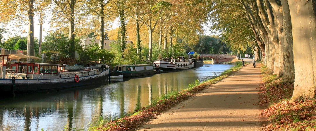 Haute-Garonne (département 31)