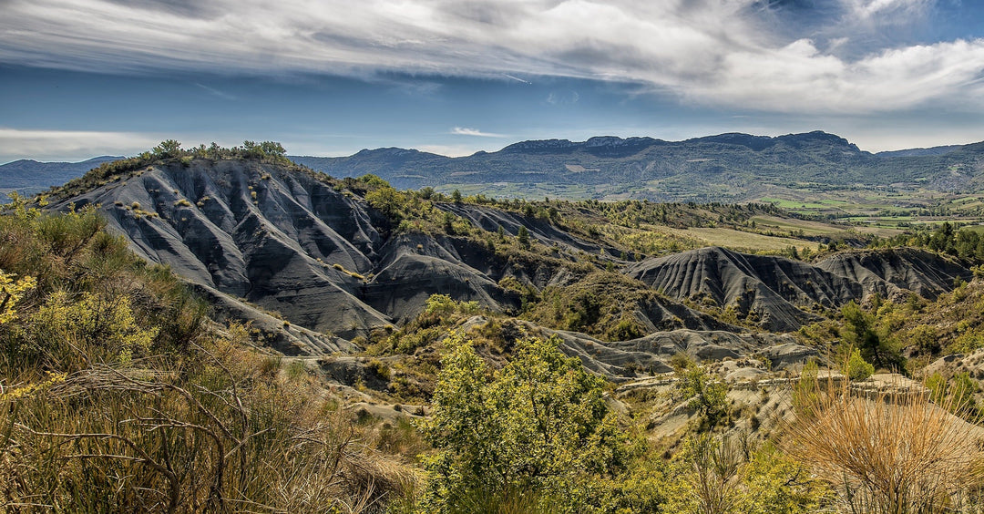 Marne (département 51)