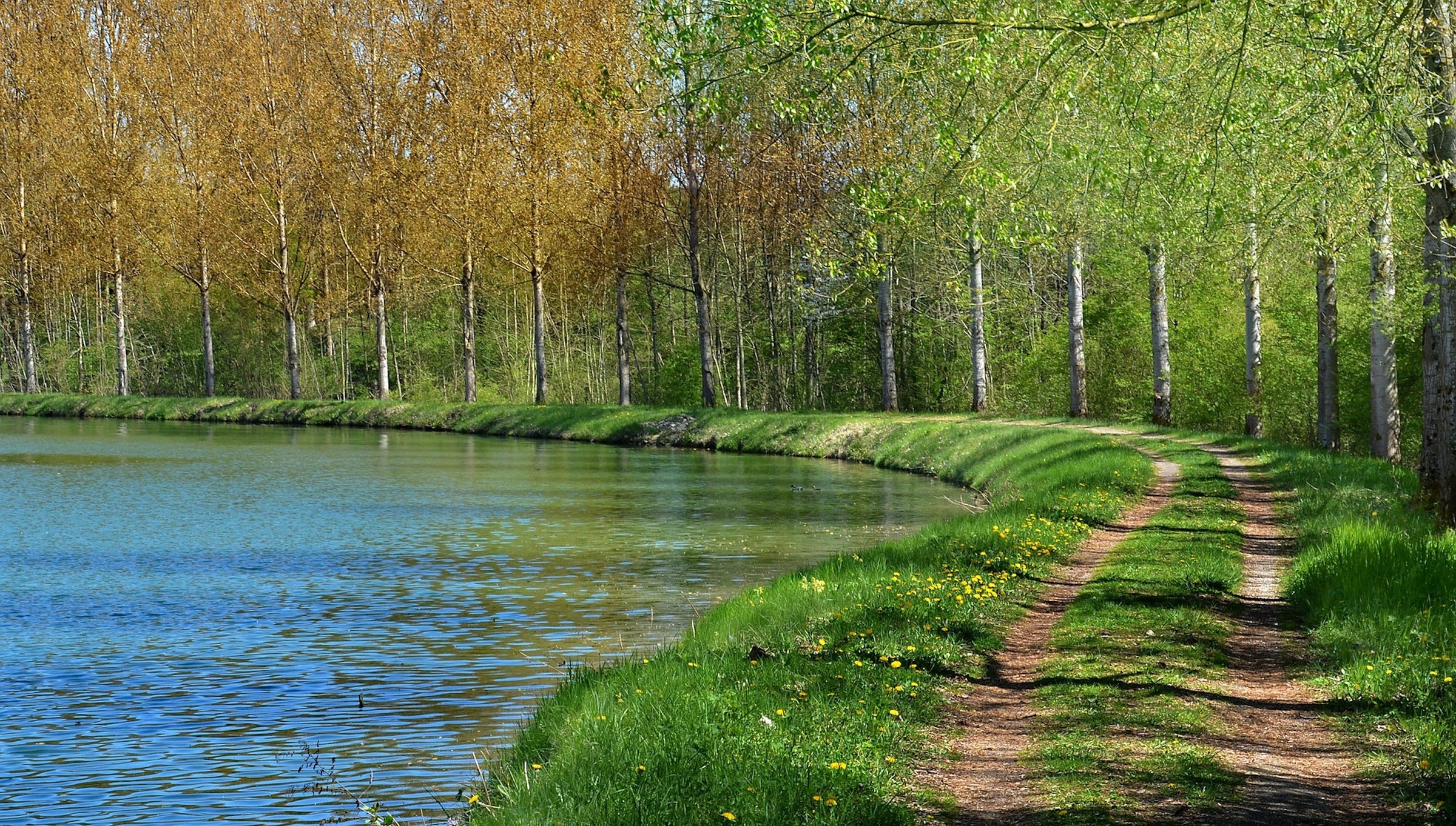 Meuse (département  55)