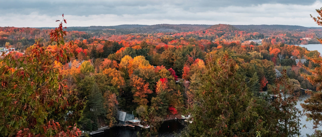 Parc Algonquin