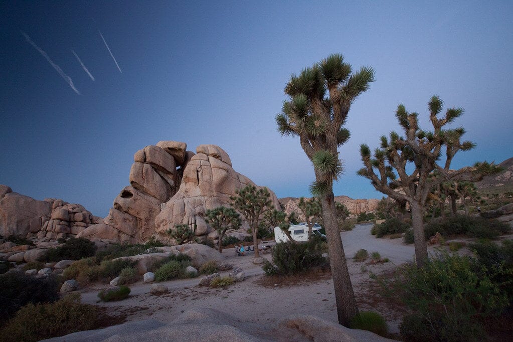 Parc National de Joshua Tree