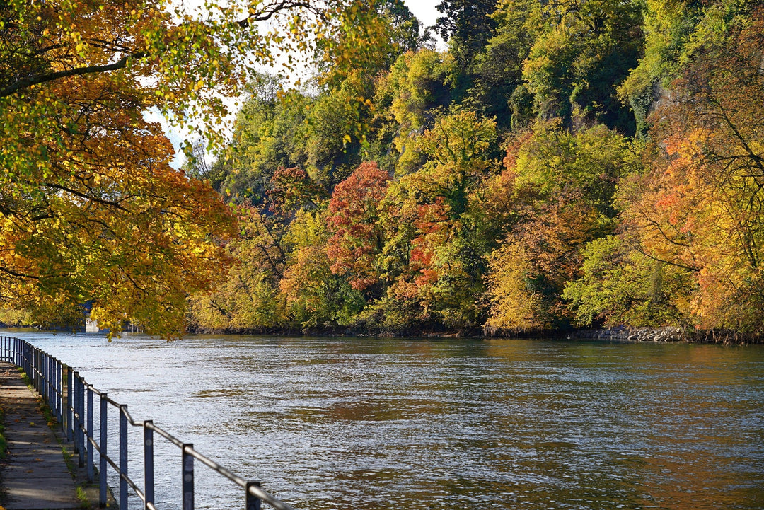 Rhône (département 69)