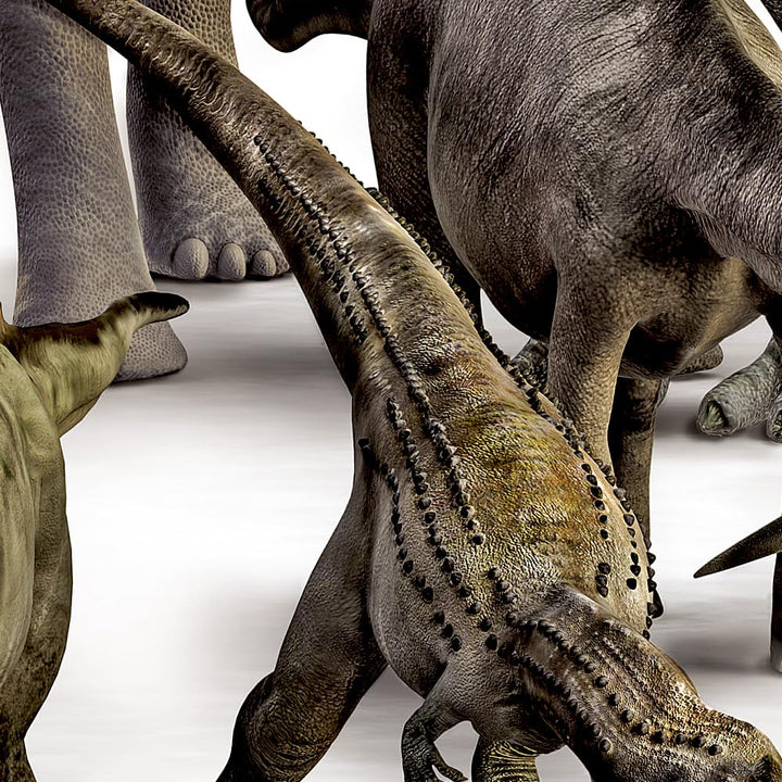 Carte thématique - Dinosaures du Gondwana & de la Laurasie | National Geographic carte routière National Geographic