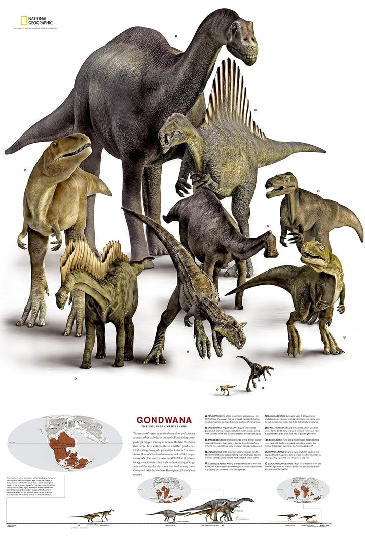 Carte thématique - Dinosaures du Gondwana & de la Laurasie | National Geographic carte routière National Geographic