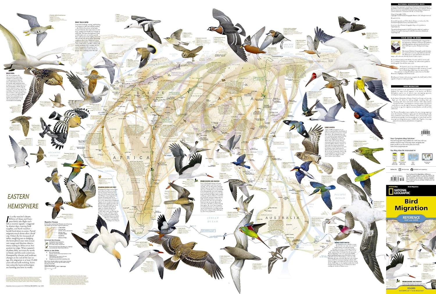 Carte thématique - Migration des oiseaux | National Geographic carte routière National Geographic