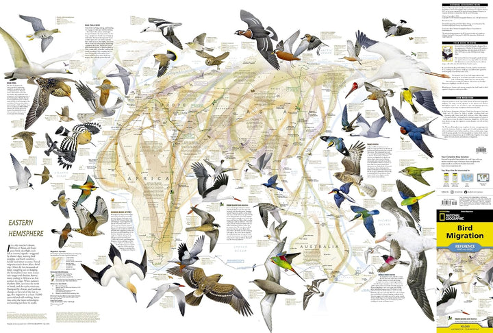 Carte thématique - Migration des oiseaux | National Geographic carte routière National Geographic