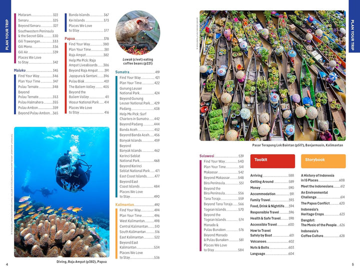 Guide de voyage (en anglais) - Indonesia | Lonely Planet guide de voyage Lonely Planet EN