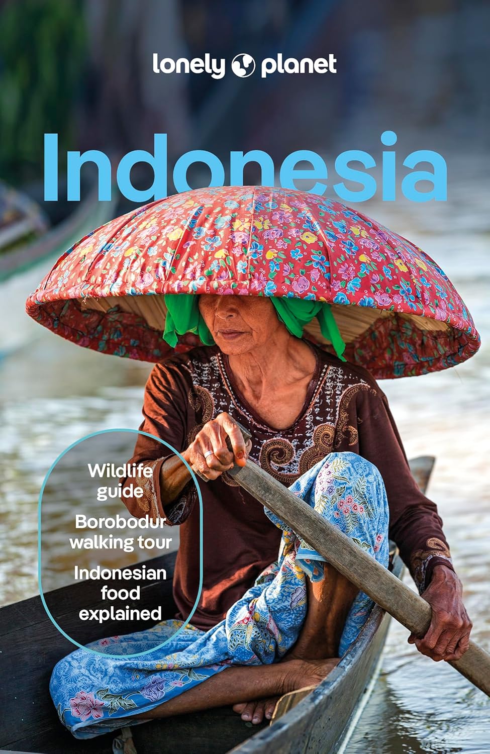 Guide de voyage (en anglais) - Indonesia | Lonely Planet guide de voyage Lonely Planet EN