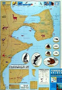 Carte touristique - Péninsule de Valdes Ecomapa | Zagier y Urruty