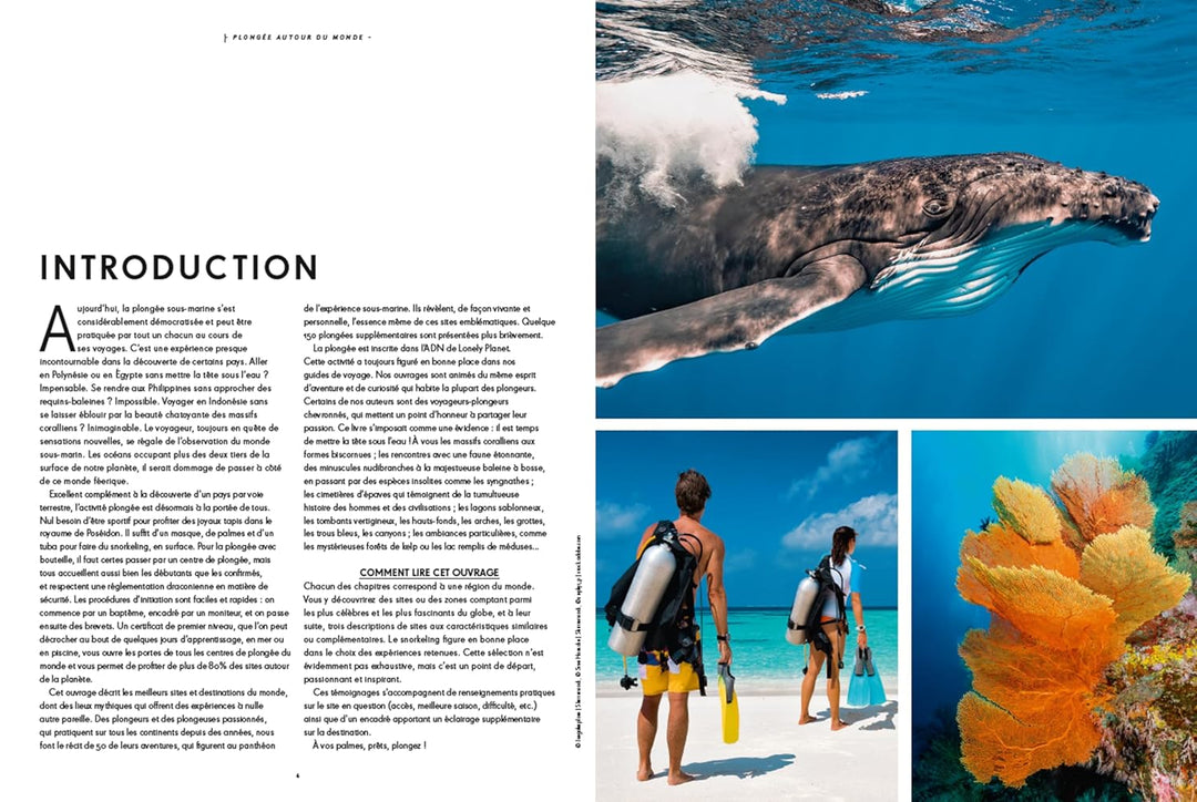 Beau livre - Plongée autour du monde | Lonely Planet