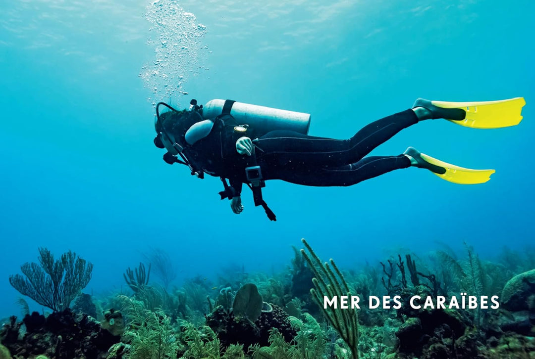 Beau livre - Plongée autour du monde | Lonely Planet