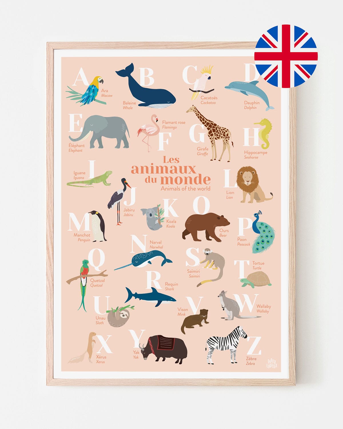 Affiche abécédaire bilingue - Les animaux du monde - A3 | Papier Curieux affiche Papier Curieux Français-anglais Corail