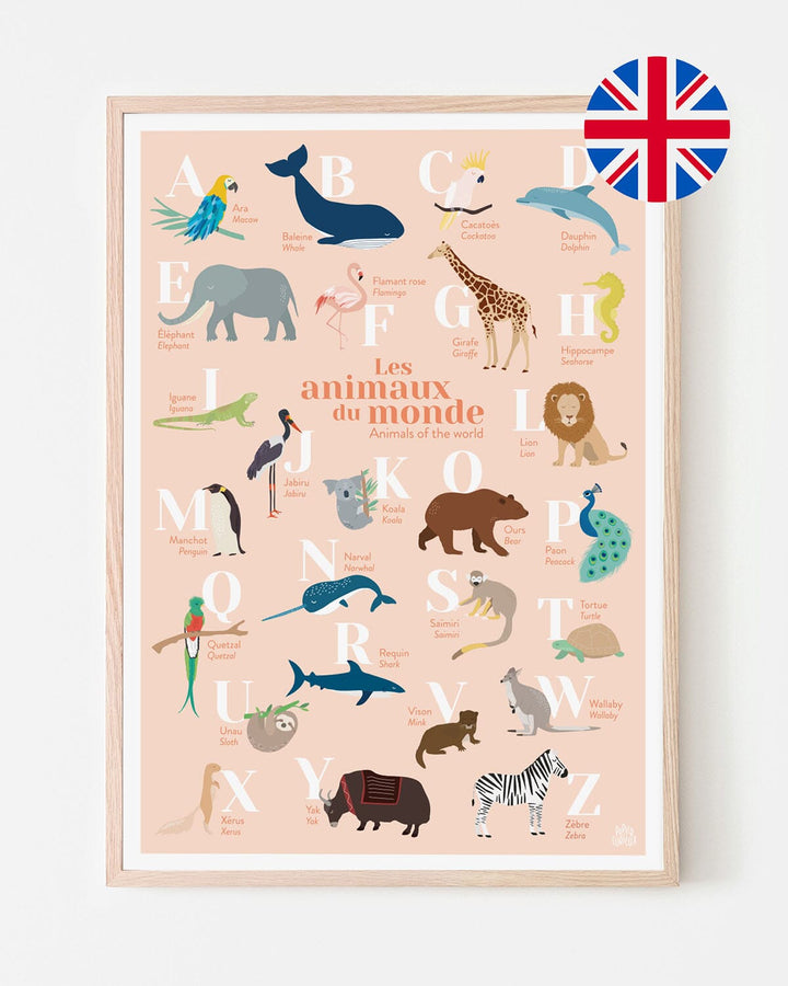 Affiche abécédaire bilingue - Les animaux du monde - A3 | Papier Curieux affiche Papier Curieux Français-anglais Corail