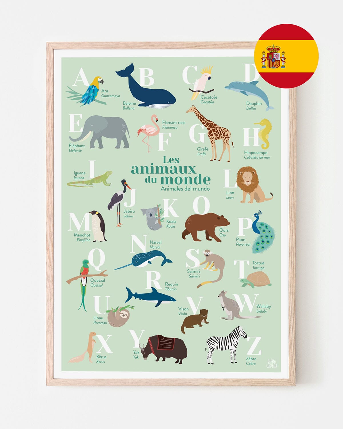 Affiche abécédaire bilingue - Les animaux du monde - A3 | Papier Curieux affiche Papier Curieux Français-espagnol Corail