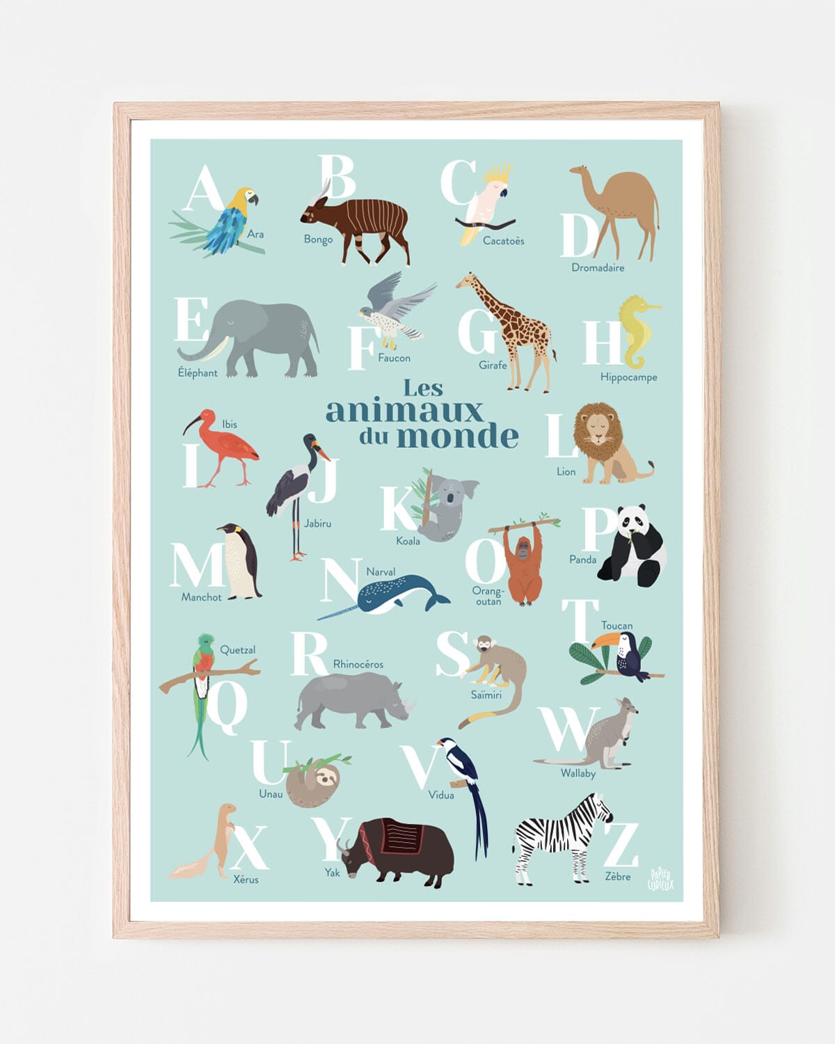 Affiche abécédaire - Les animaux du monde - A3 | Papier Curieux affiche Papier Curieux Bleu