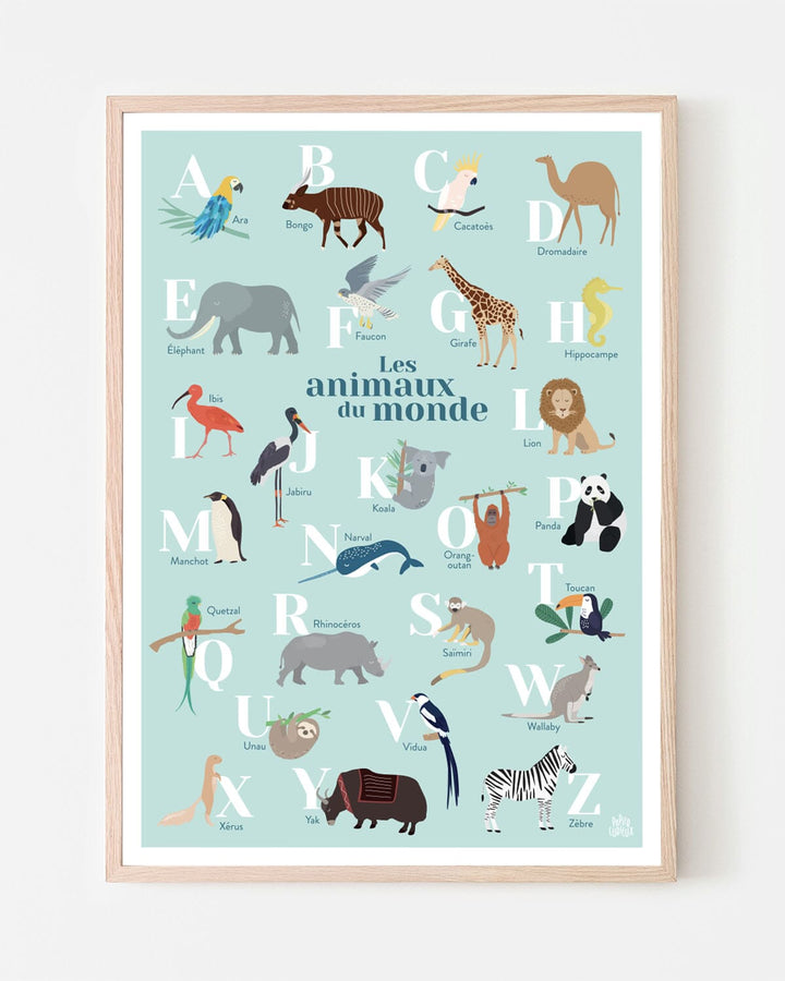 Affiche abécédaire - Les animaux du monde - A3 | Papier Curieux affiche Papier Curieux Bleu