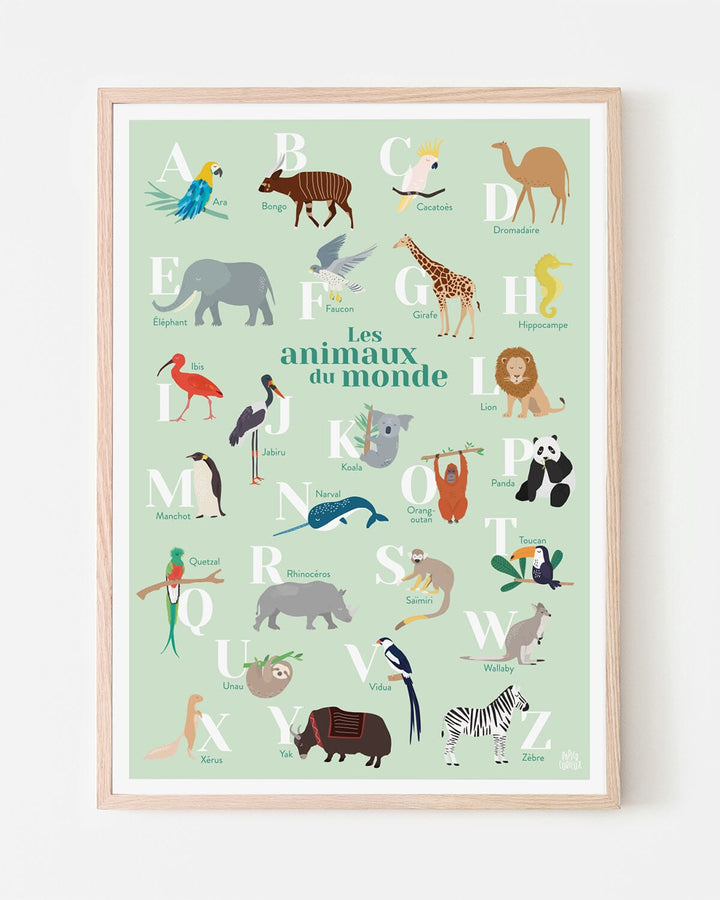 Affiche abécédaire - Les animaux du monde - A3 | Papier Curieux affiche Papier Curieux Vert