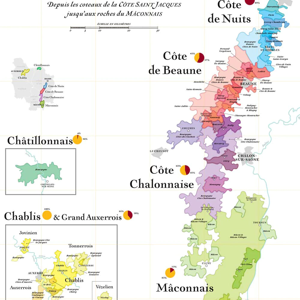 Affiche - Carte des vins de Bourgogne - 50 x 70 cm carte murale roulée (en tube) La carte des vins