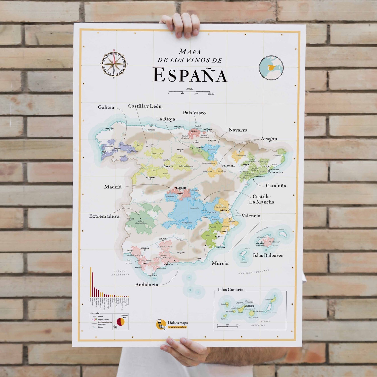 Affiche - Carte des vins d'Espagne - 50 x 70 cm carte murale roulée (en tube) La carte des vins Default Title