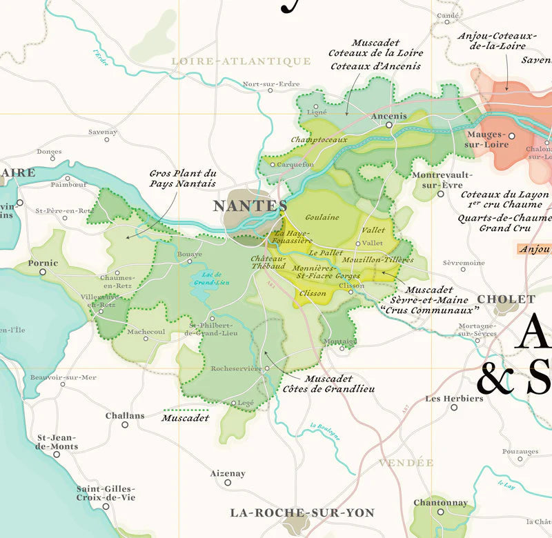Affiche - Carte des vins du Val de Loire - 50 x 70 cm carte murale petit tube La carte des vins 