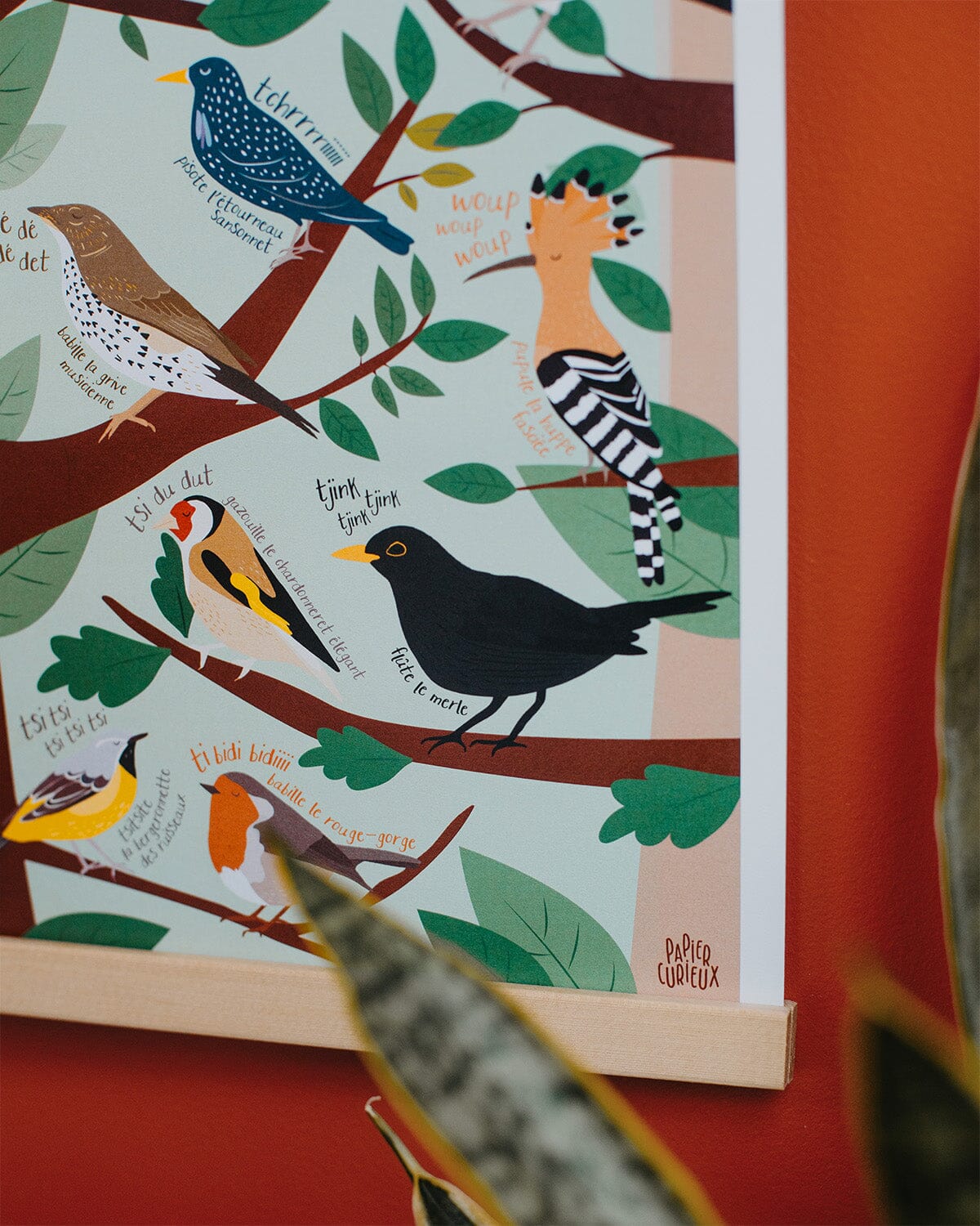 Affiche illustrée - Le chant des oiseaux - A3 | Papier Curieux affiche Papier Curieux