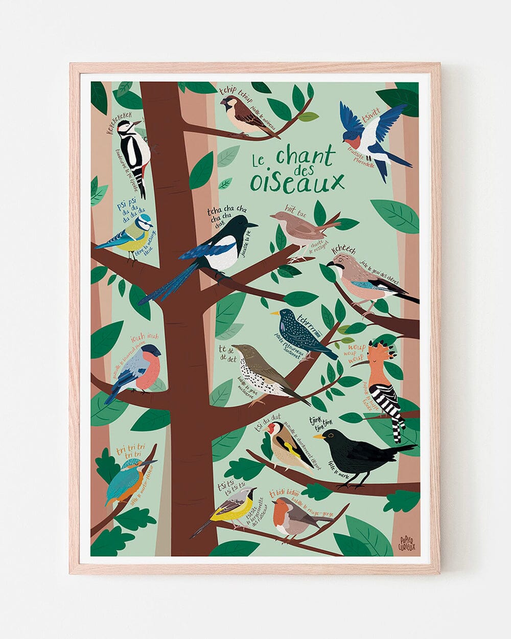 Affiche illustrée - Le chant des oiseaux - A3 | Papier Curieux affiche Papier Curieux