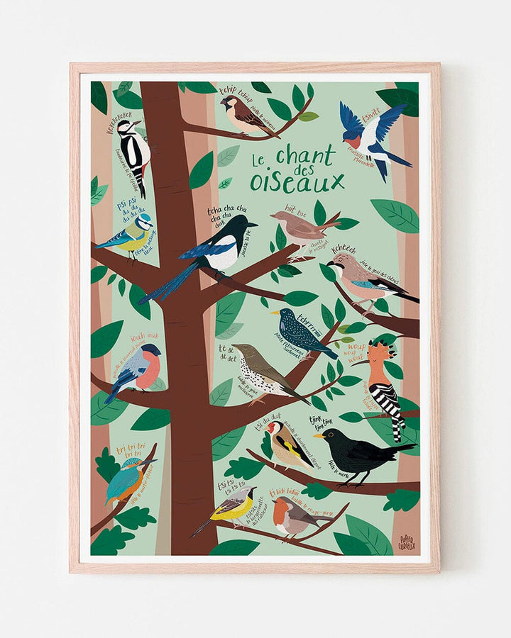 Affiche illustrée - Le chant des oiseaux - A3 | Papier Curieux affiche Papier Curieux