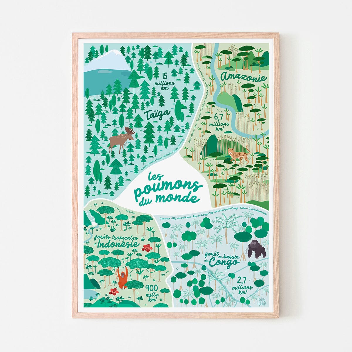 Affiche illustrée - Les grandes forêts du monde - A3 | Papier Curieux affiche Papier Curieux