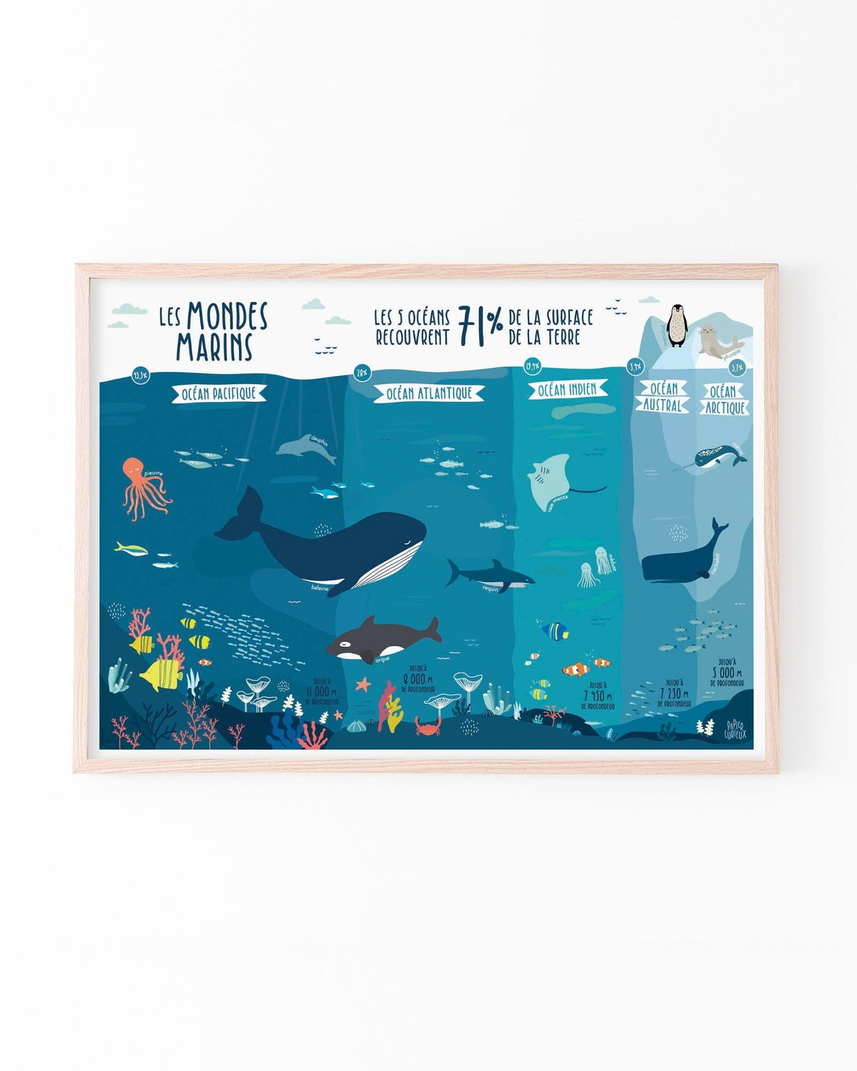 Affiche illustrée - Les mondes marins (les 5 océans) - A3 | Papier Curieux affiche Papier Curieux