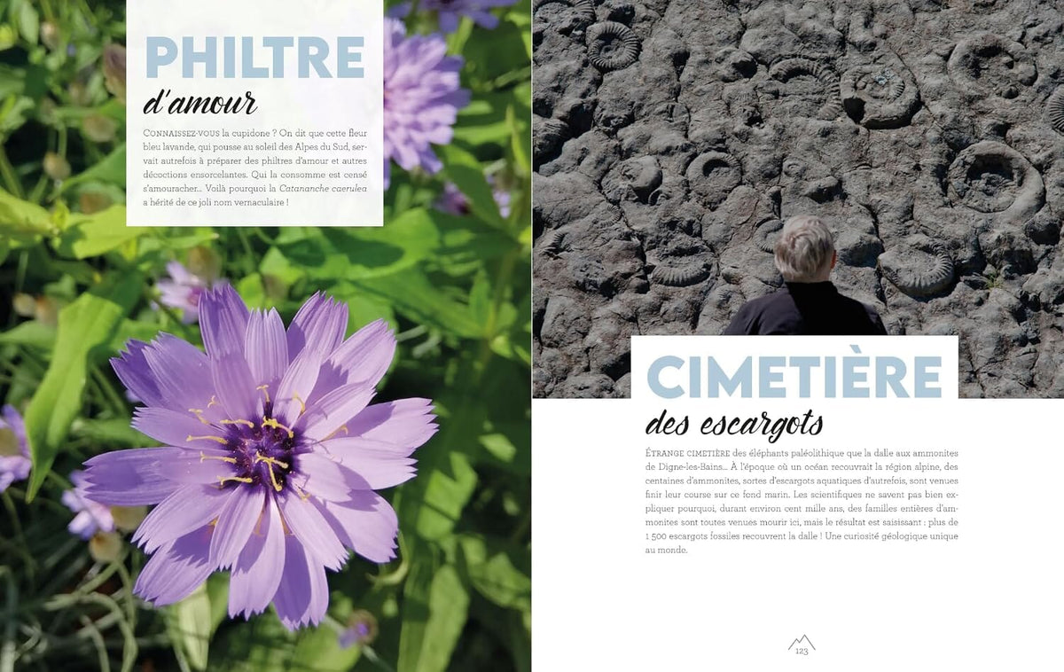 Beau livre - Dans l'intimité des Alpes : Découvrir les Alpes autrement beau livre Suzac Editions 