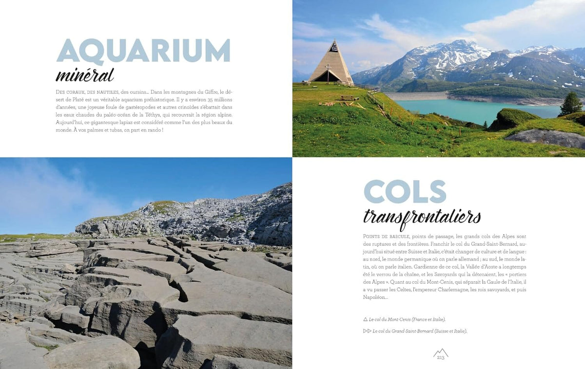 Beau livre - Dans l'intimité des Alpes : Découvrir les Alpes autrement beau livre Suzac Editions 
