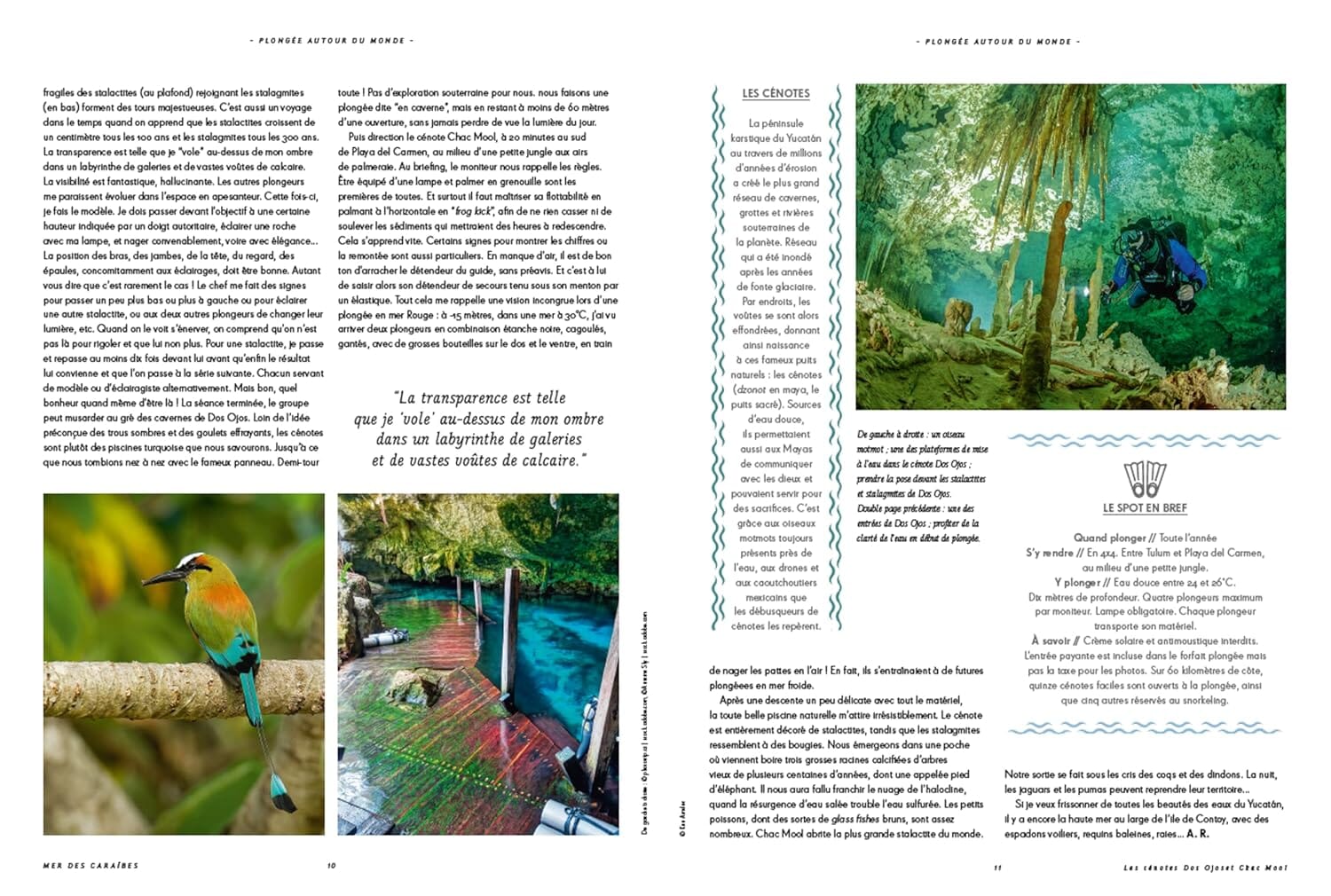 Beau livre - Plongée autour du monde | Lonely Planet beau livre Lonely Planet 