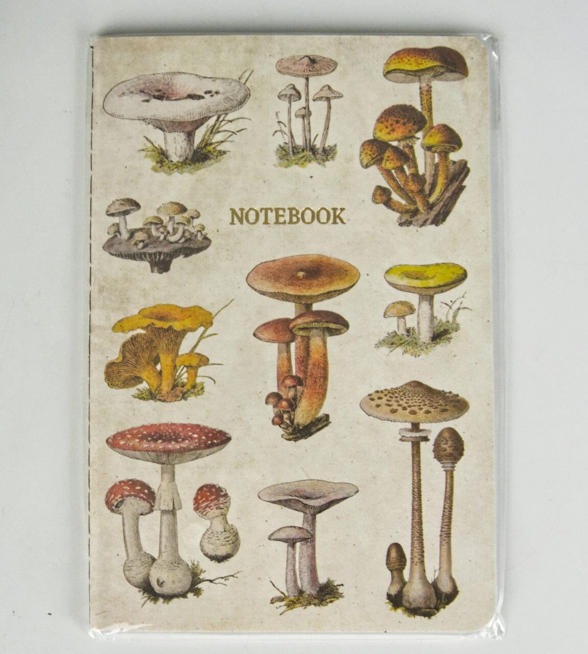 Carnet ligné style vintage (14 x 20 cm) - Motif "Champignons" | Sass & Belle carnet de voyage Sass & Belle