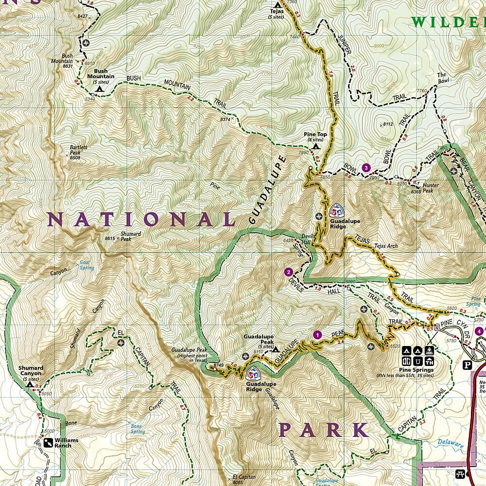 Carte de randonnée n° 203 - Guadalupe Mountains National Park (Texas) | National Geographic carte de randonnée National Geographic
