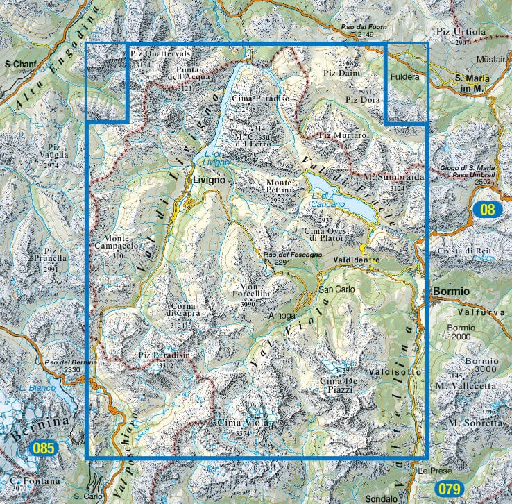 Carte de randonnée n° 69 - Livigno, Bormio, Passo del Bernina (Dolomites) | Tabacco carte de randonnée Tabacco 