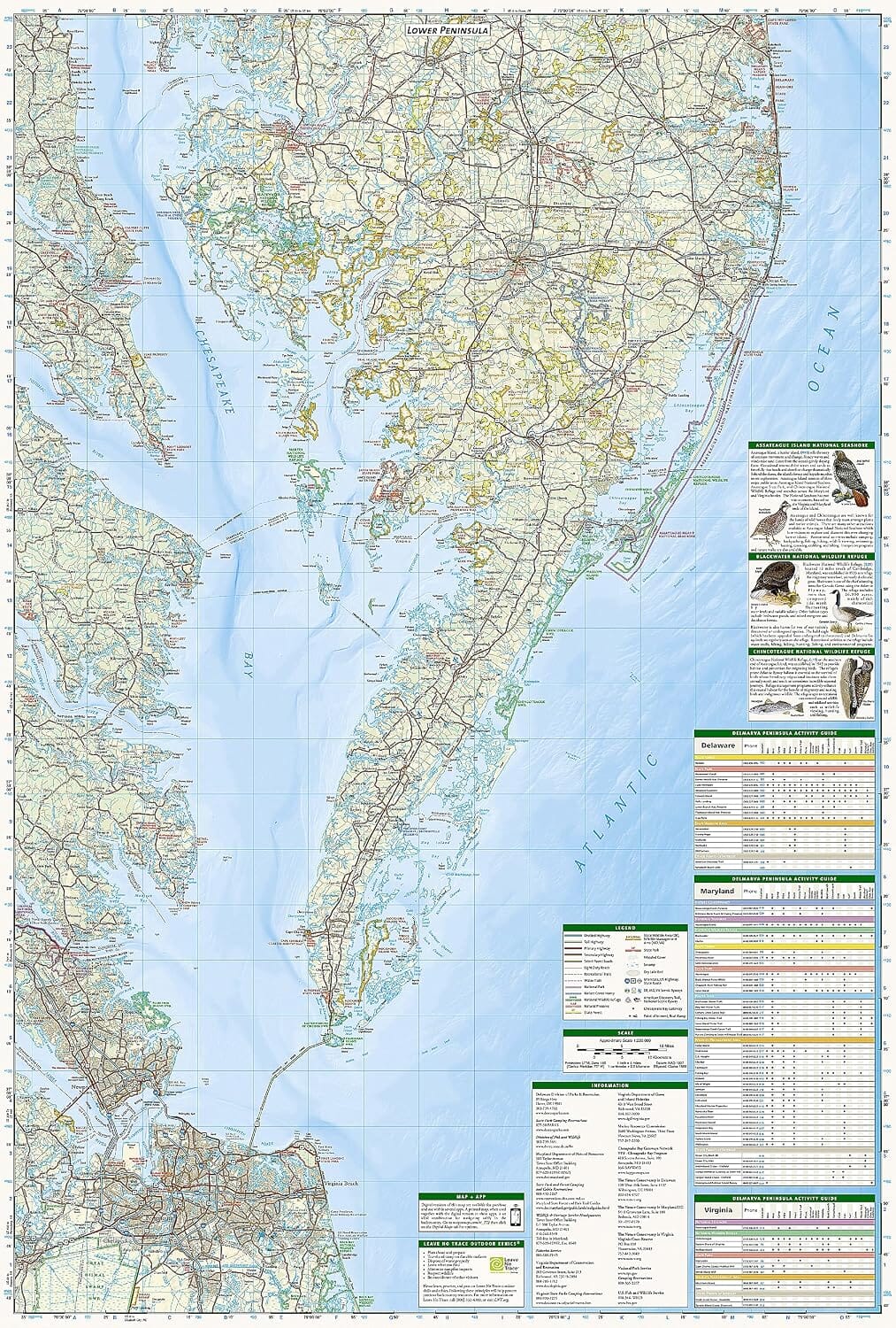 Carte de randonnée n° 772 - Delmarva Peninsula (Delaware, Maryland, Virginie) | National Geographic carte de randonnée National Geographic 