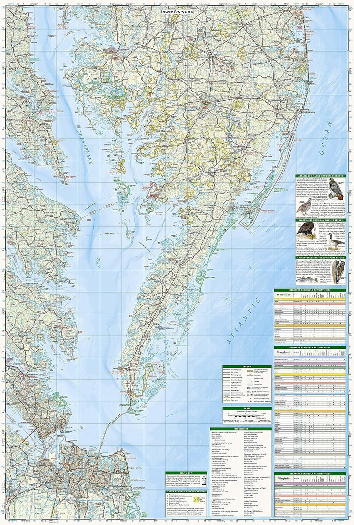 Carte de randonnée n° 772 - Delmarva Peninsula (Delaware, Maryland, Virginie) | National Geographic carte de randonnée National Geographic 