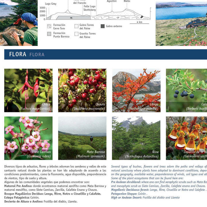 Carte de trekking - Torres Del Paine (Chili) | COPEC carte de randonnée COPEC 