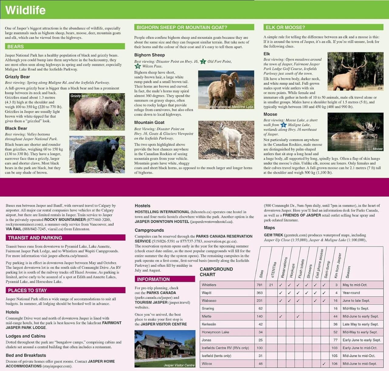 Carte de voyage & Guide - Jasper National Park (Alberta) | Gem Trek carte routière Gem Trek Publishing