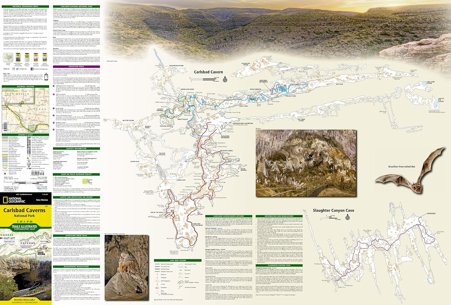 Carte de randonnée n° 247 - Parc national de Carlsbad Caverns (Nouveau-Mexique) | National Geographic carte de randonnée National Geographic