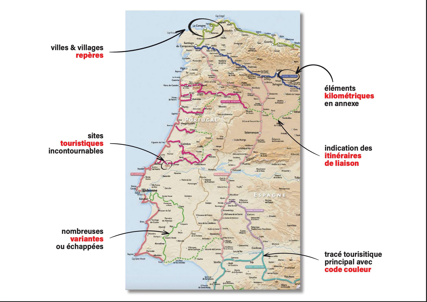Carte des véloroutes et voies vertes en Europe et en France carte cycliste Suzac Editions 